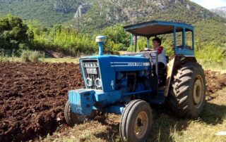 250.000 Σχέδια Βελτίωσης επιλαχόντες Σχέδια Βελτίωσης Επικαιροποιημένοι πίνακες Βιολογική Γεωργία