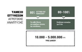 xrhmatodotoika